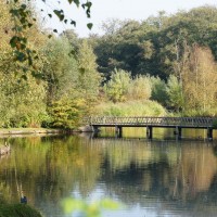 Park near Amstelveen