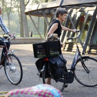 Toto goes to the park too