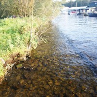 Clear water of the nieuwemeer