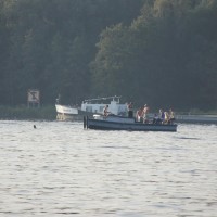 Swimming in the Nieuwe Meer