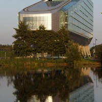 Reflection of the Shoe