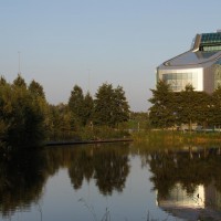 Reflection of the Shoe