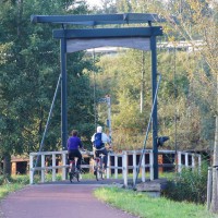 Drawbridge in the woods