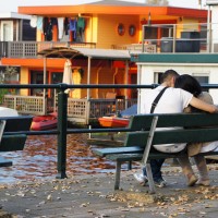 Love in the park at Nieuwe Meersluis