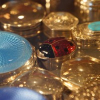 Ladybird pillbox in silver