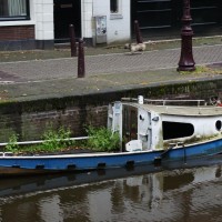 Sunken boat, but with a garden growing in it.
