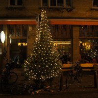 Christmas tree outside a bar/cafe Krom on the corner of the Kerkstraat and Utrechtsestraat with a bike under it.