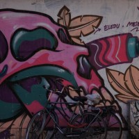 Beautiful graffiti on a side street near Albert Cuyp Street market
