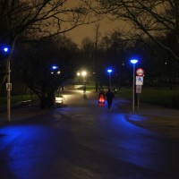 Vondel Park at night. Apparently you can't see your veins in blue light.