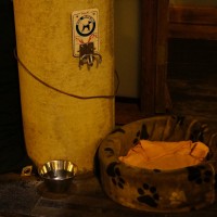 Dog parking outside the Orff Restaurant on the Jodenbreestraat