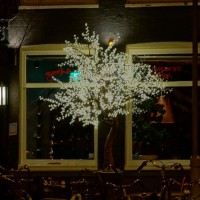 Awesome holiday decorated tree outside a restaurant on Prince Hendrikkade