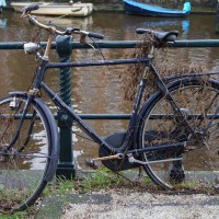 The vines have claimed this bike along the Nieuwe Achtergracht