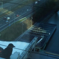 Raven on the edge, looking at the bicycle parking and motorway from the 14th floor