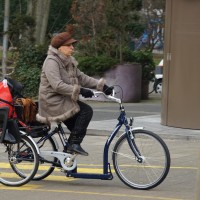 Rickshaw type bike with 2 kids seats.