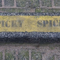 Spicky Spicky on a curb.