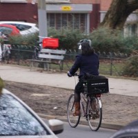 Black dog, black crate