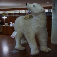 An 8 foot polar bear and cub. This library's kid's section just rocks.