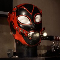 Everything for the well-dressed gimp.