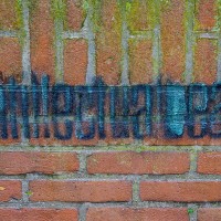 Can you read it? Antillectual beats (UK). Nice D-N-B, less D, more B.